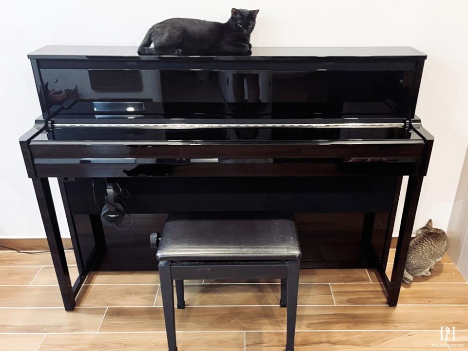 YAMAHA NU1X PE