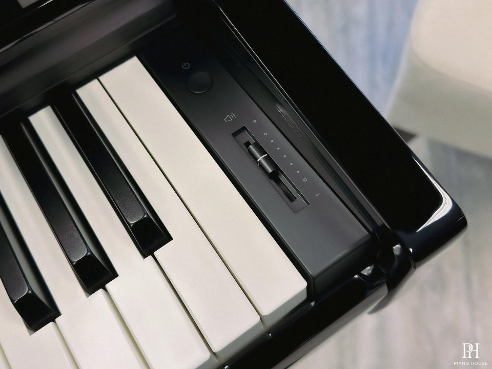 KAWAI DG30