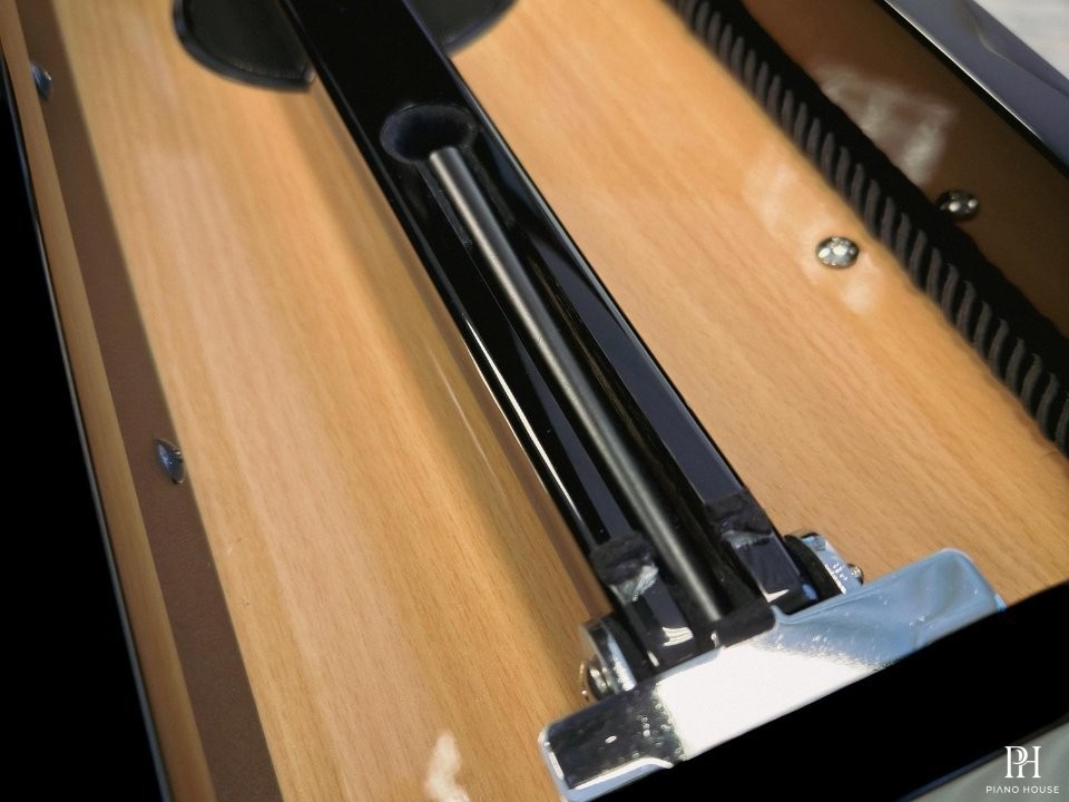 KAWAI DG30