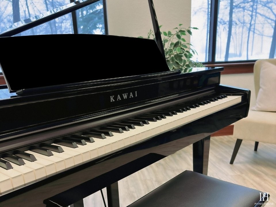 KAWAI DG30