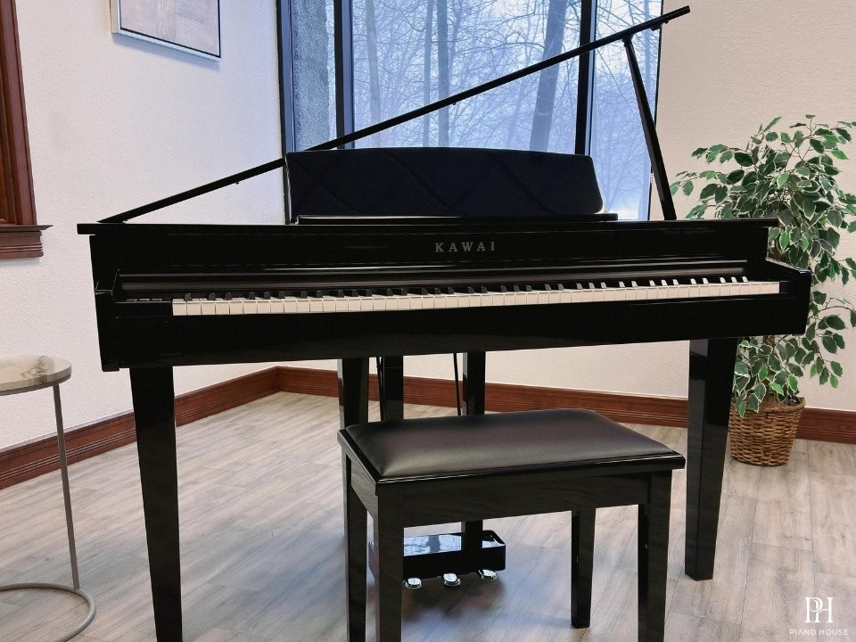 KAWAI DG30