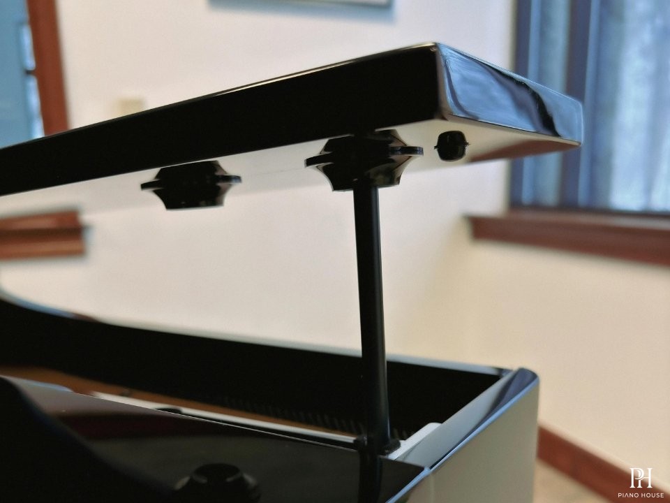 KAWAI DG30