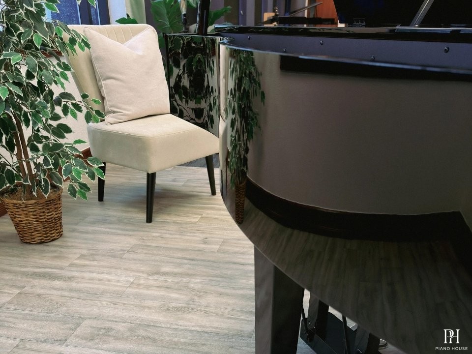 KAWAI DG30