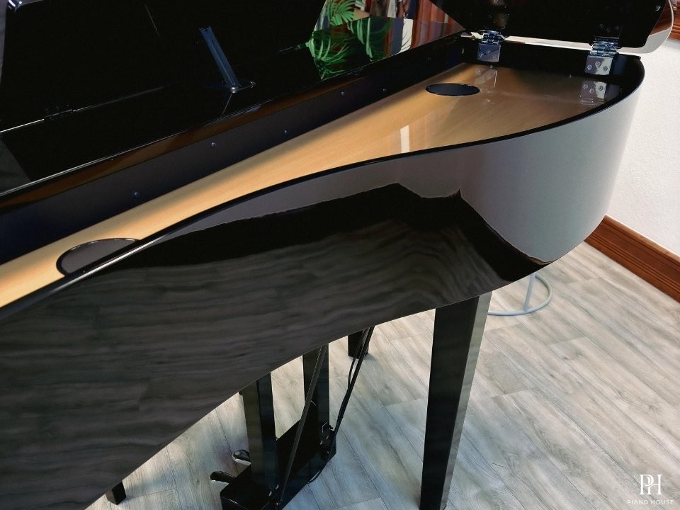 KAWAI DG30