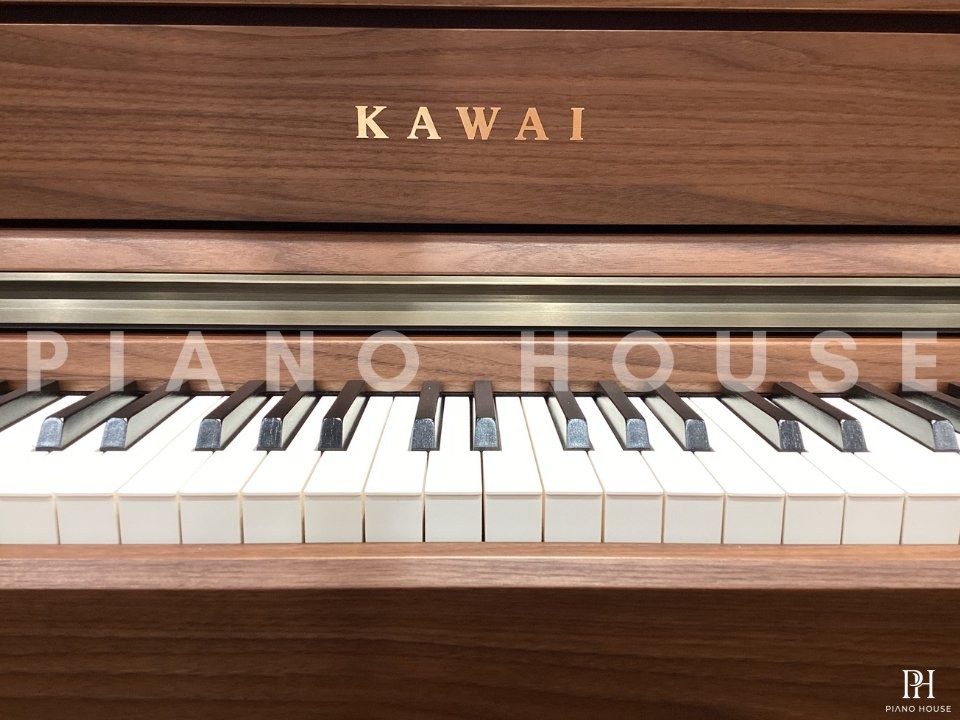 KAWAI CA701 NW