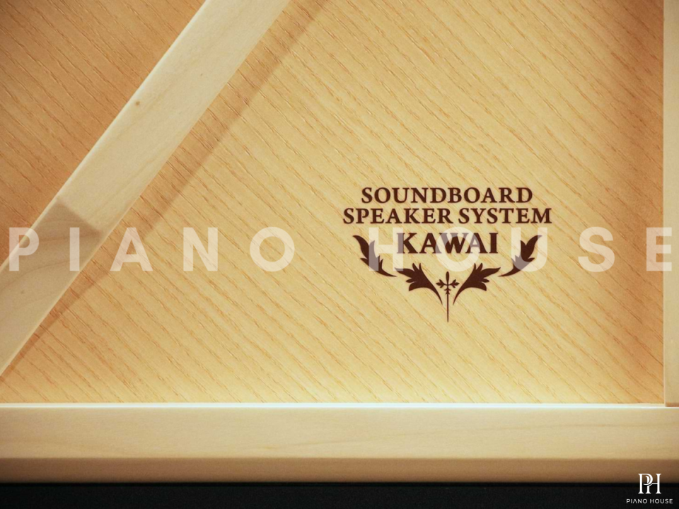KAWAI CA901 R