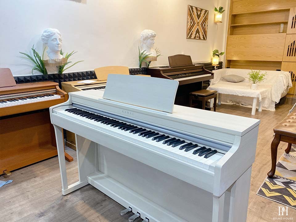 KAWAI CN25 A