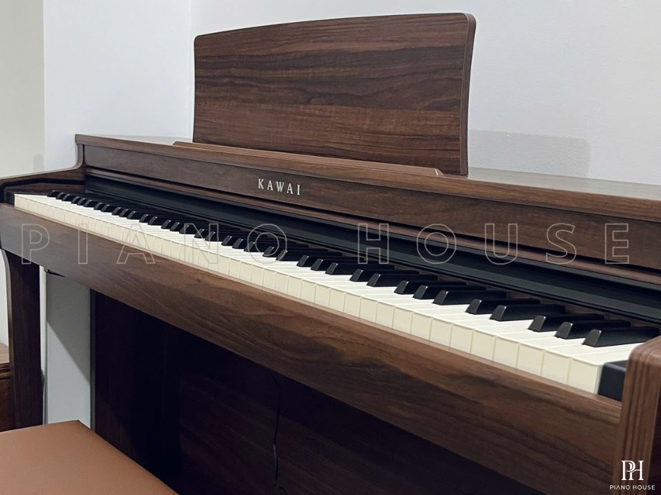 KAWAI CN201 MW