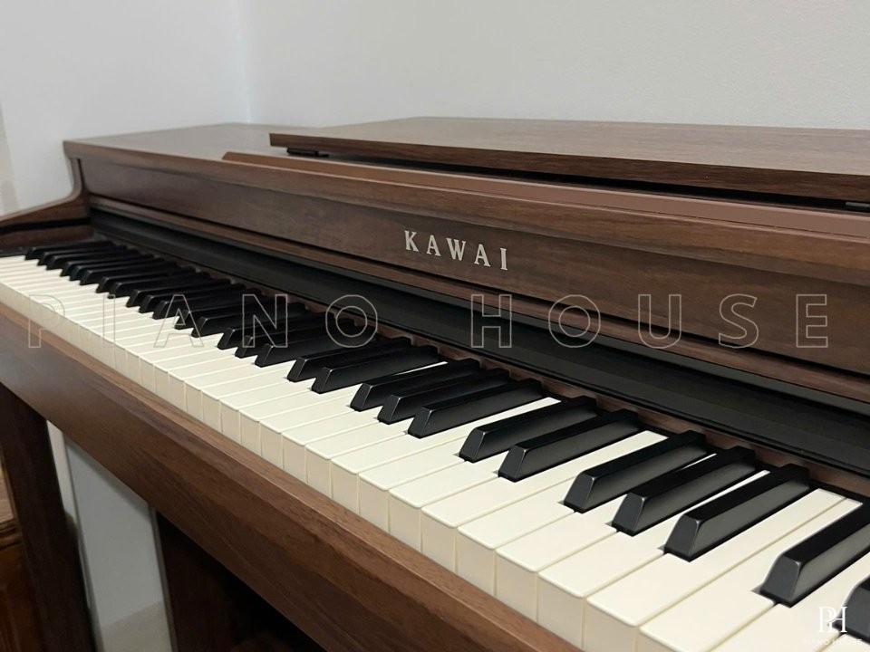 KAWAI CN201 MW