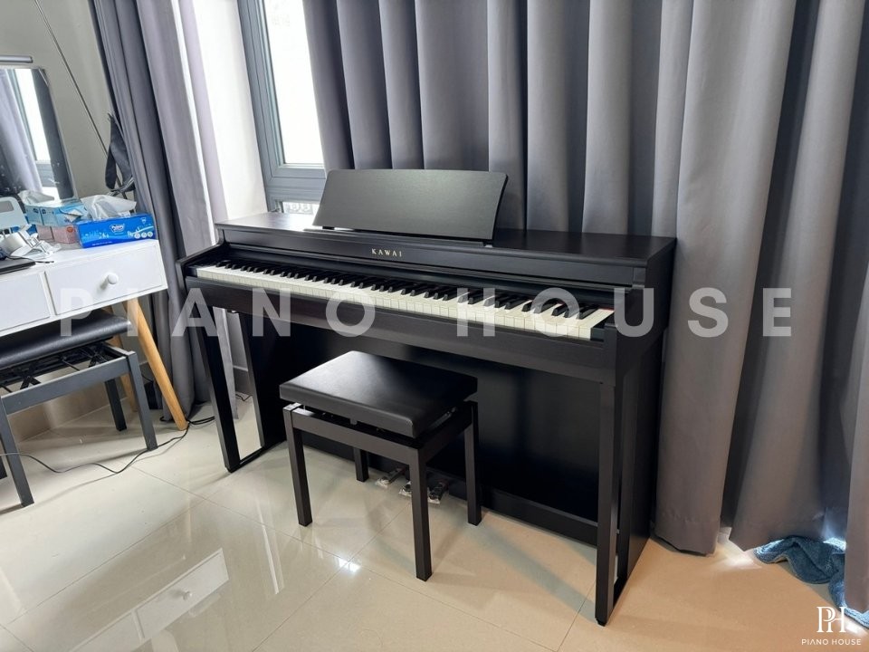 KAWAI CN201 R
