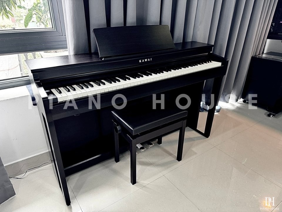 KAWAI CN201 R