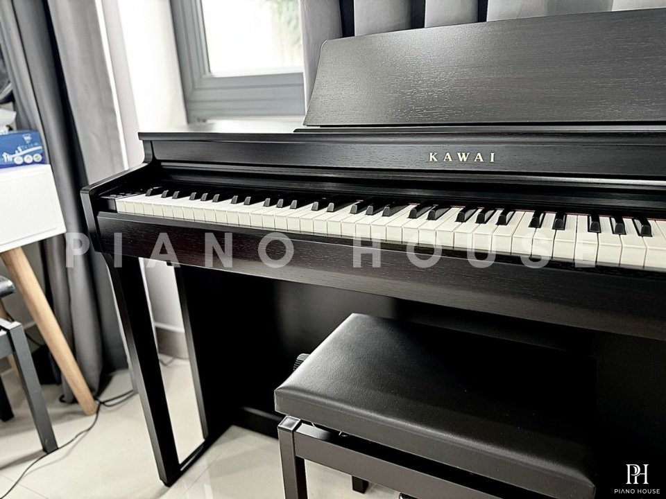 KAWAI CN201 R