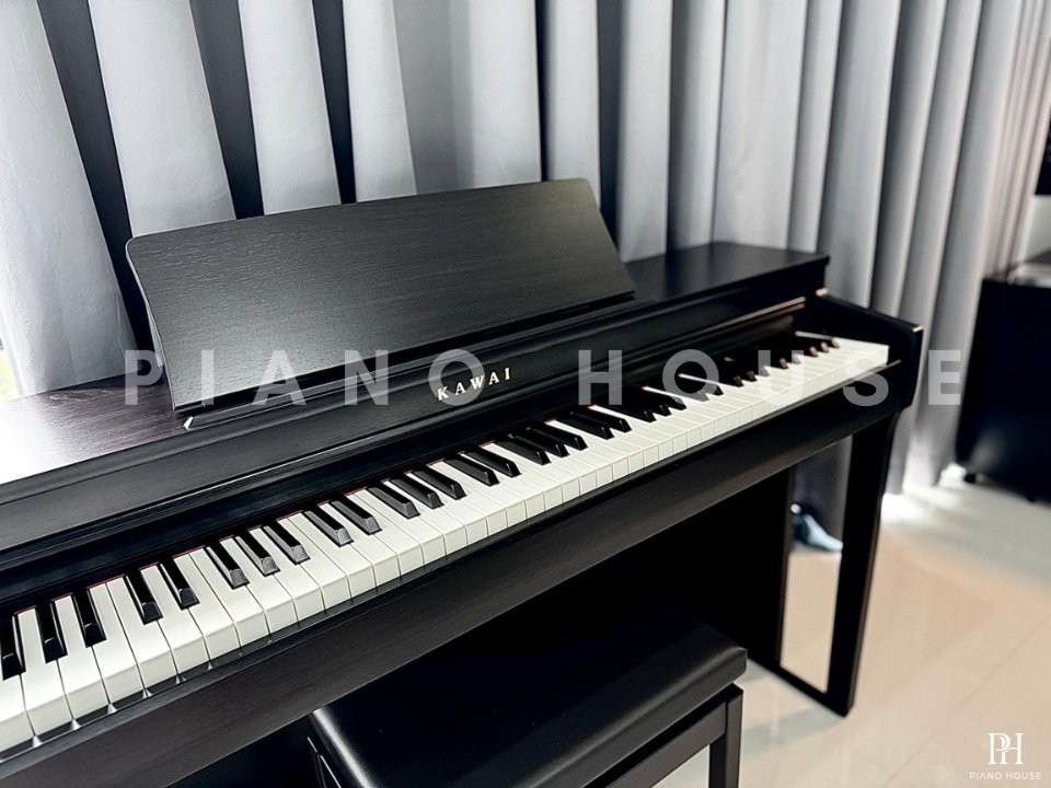 KAWAI CN201 R