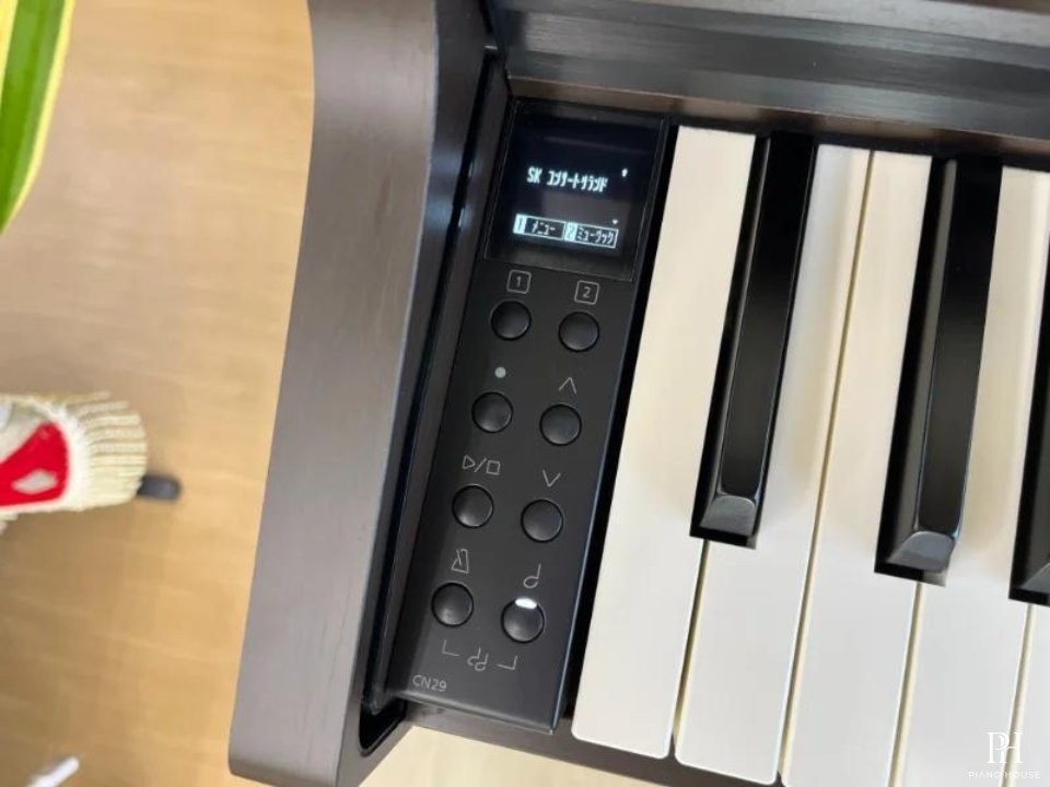 KAWAI CN29 DW