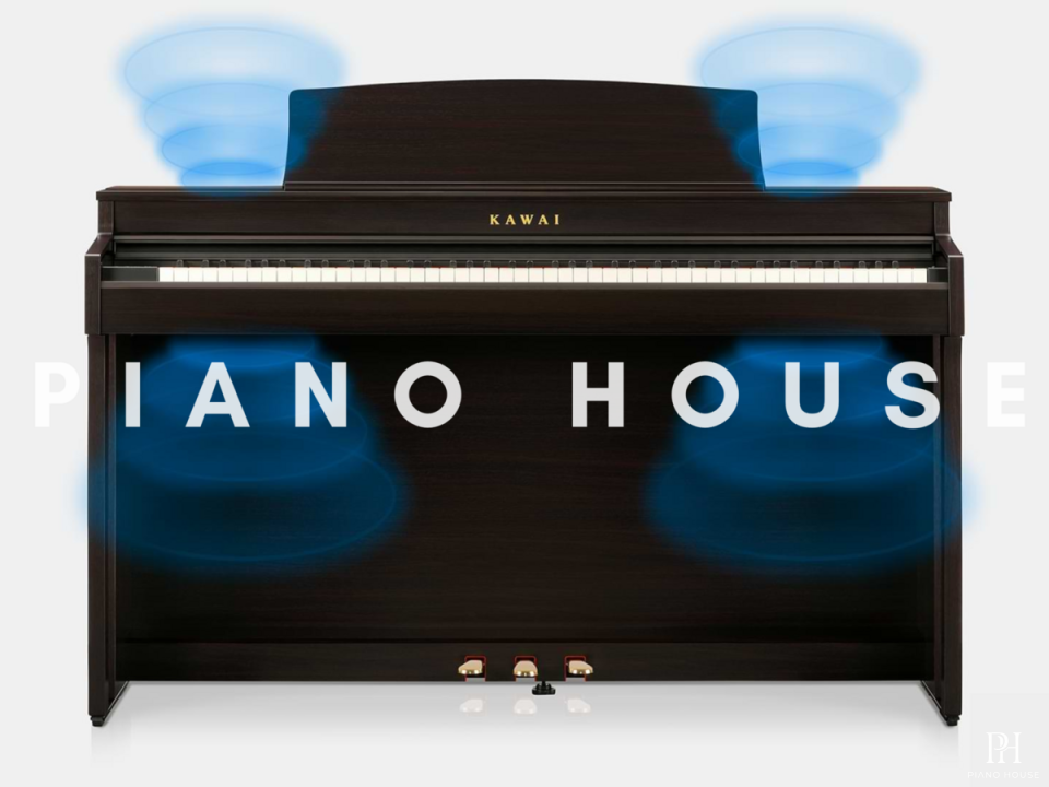 KAWAI CN301 R