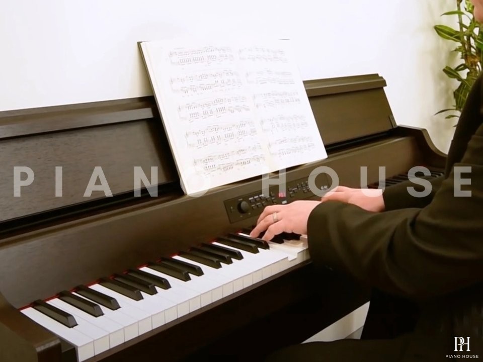 KORG G1B Air (Brown)