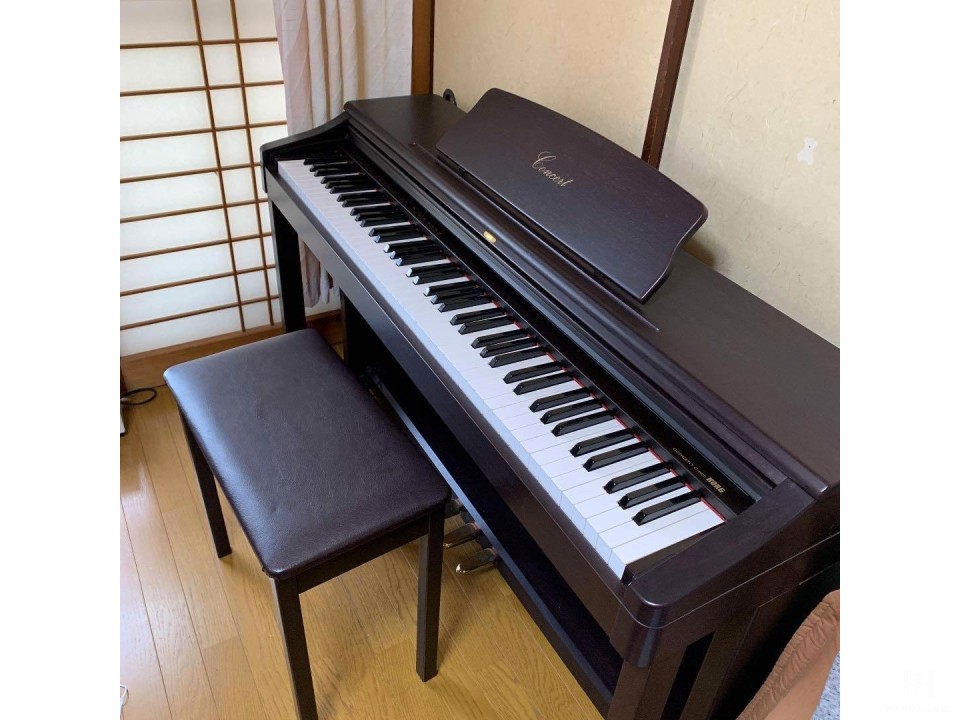 KORG C505