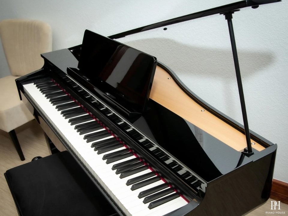 ROLAND GP-3 PE