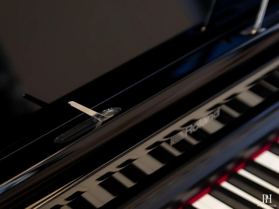 ROLAND GP-3 PE