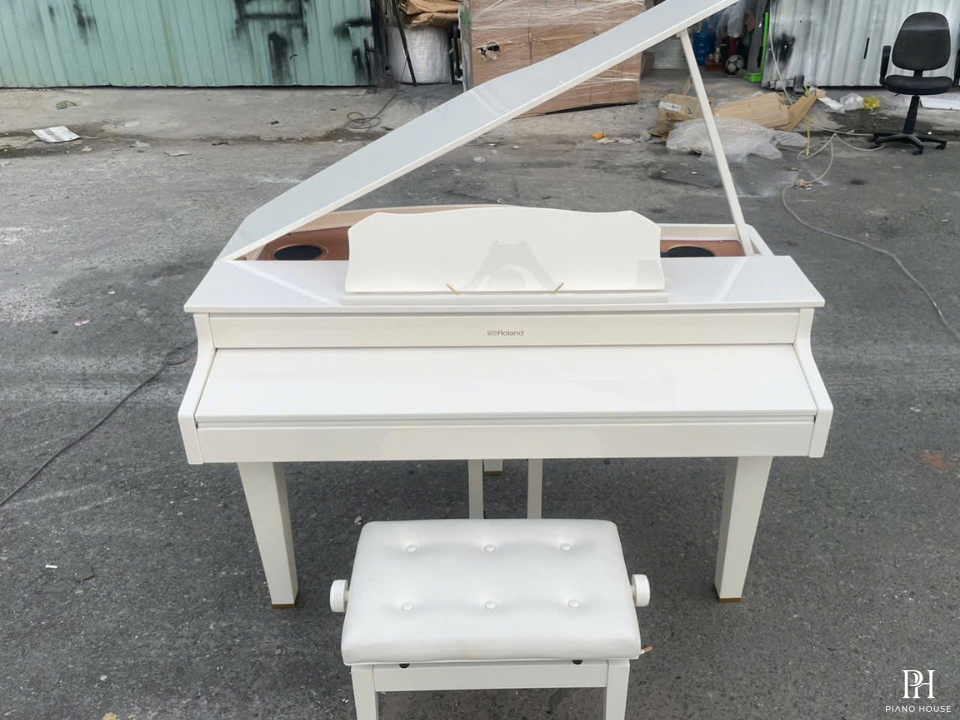 ROLAND GP-607 PW (USED)