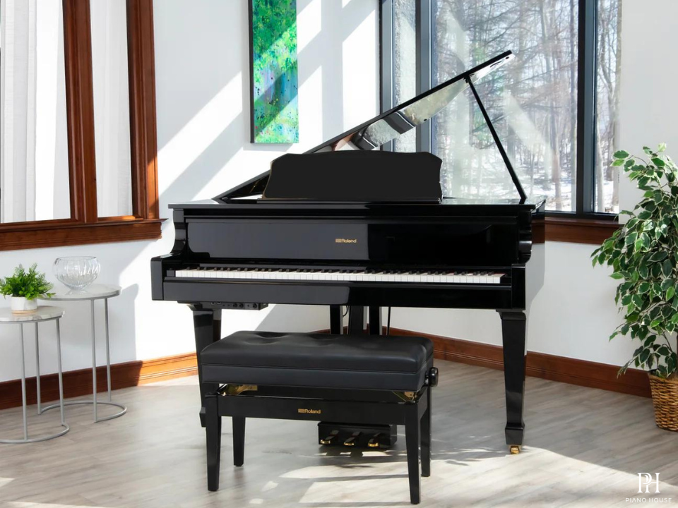 Roland GP-609 PE (USED)