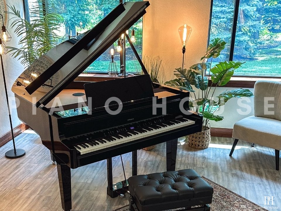 ROLAND GP-9 PE