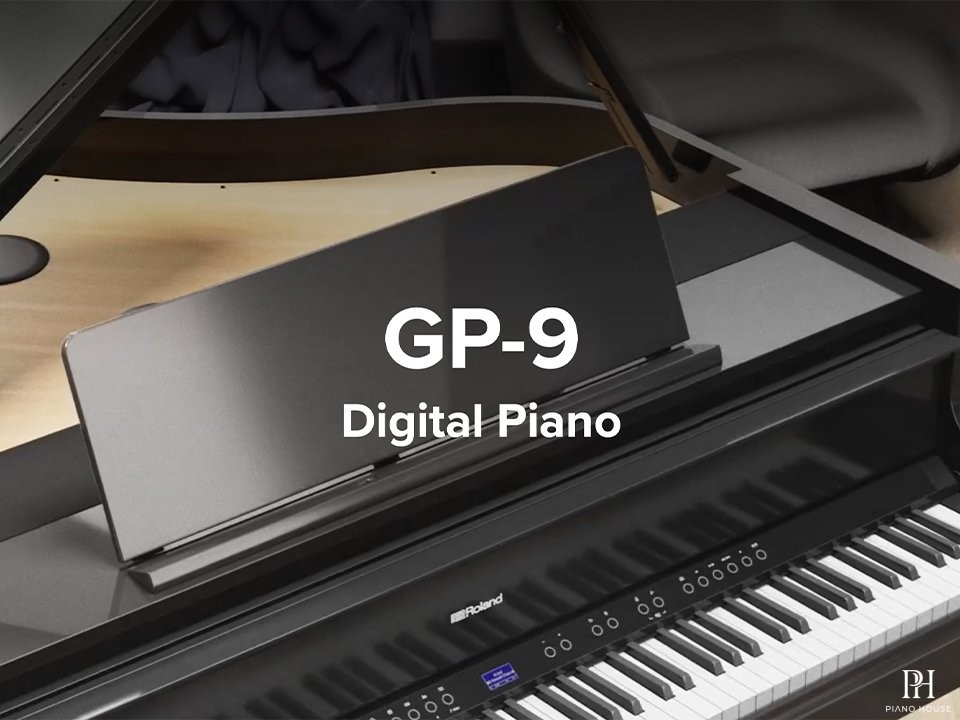 ROLAND GP-9 PE