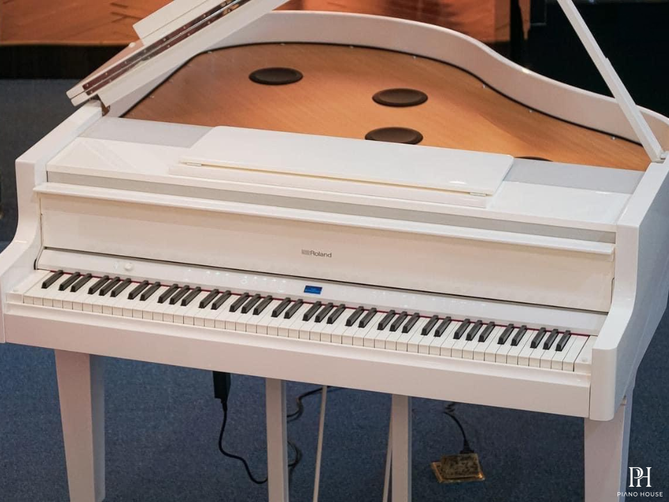 ROLAND GP-9M PW