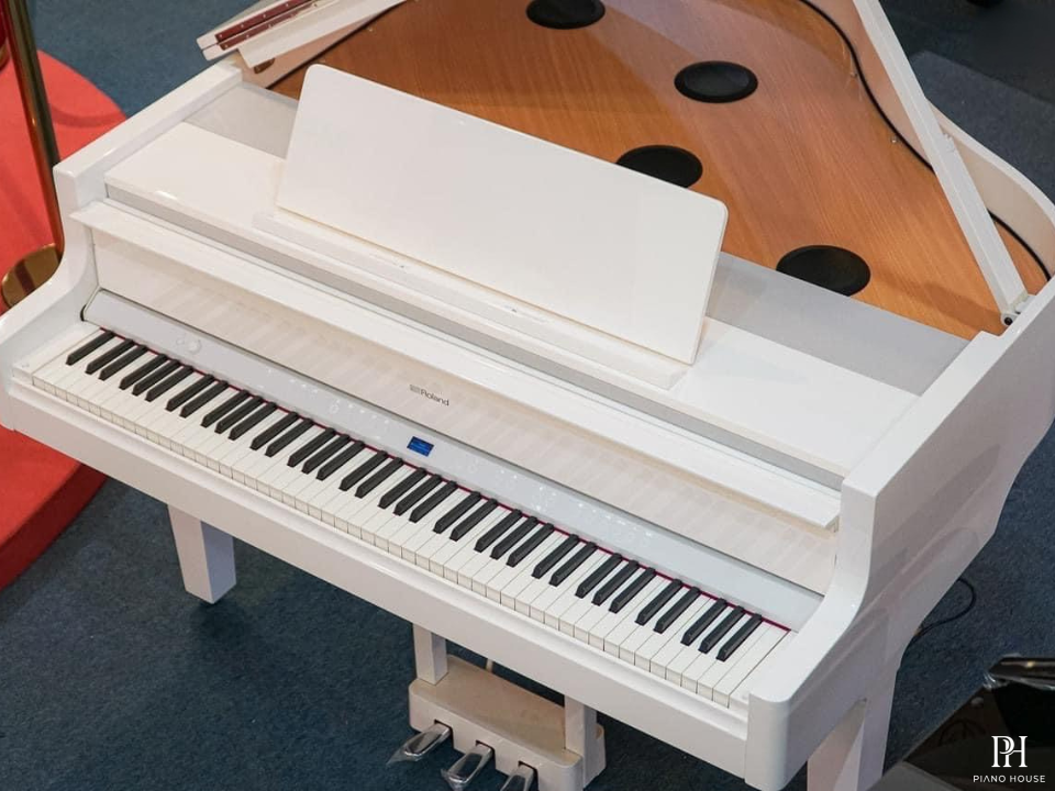 ROLAND GP-9M PW