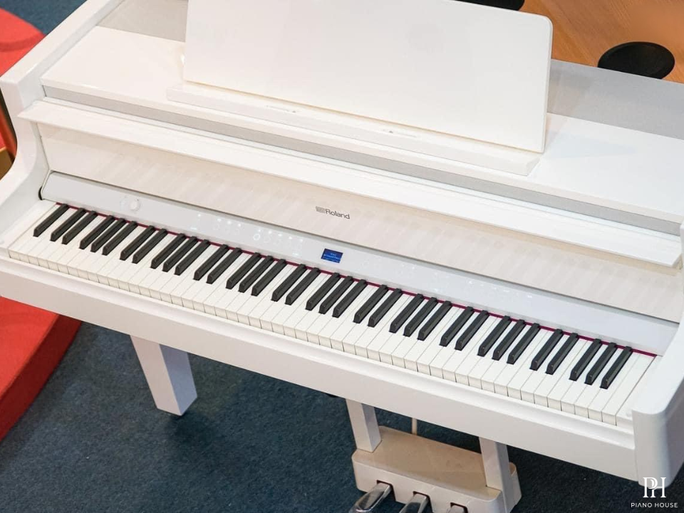 ROLAND GP-9M PW