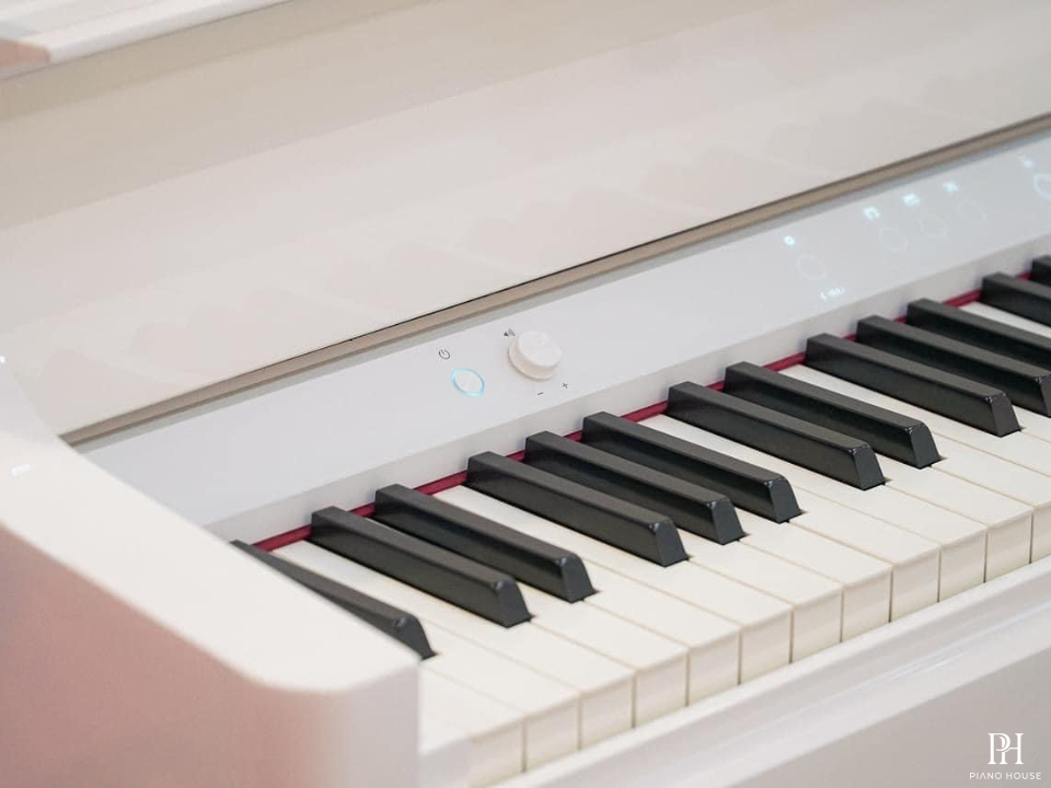 ROLAND GP-9M PW