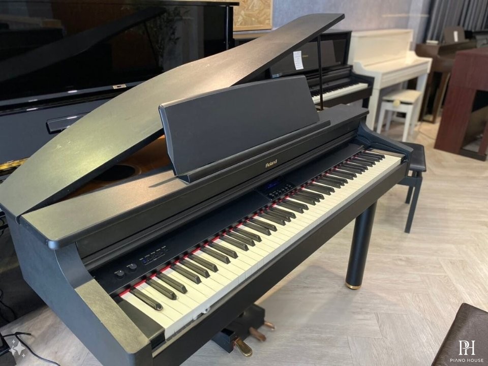 Roland RG-1