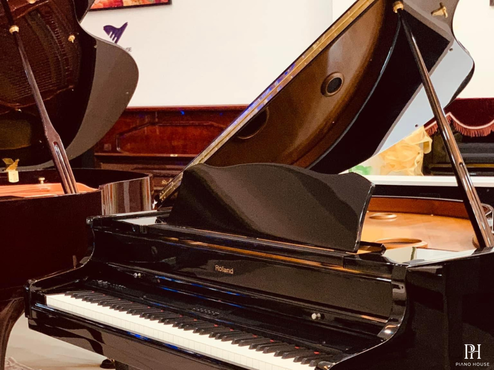 ROLAND RG-7F PE