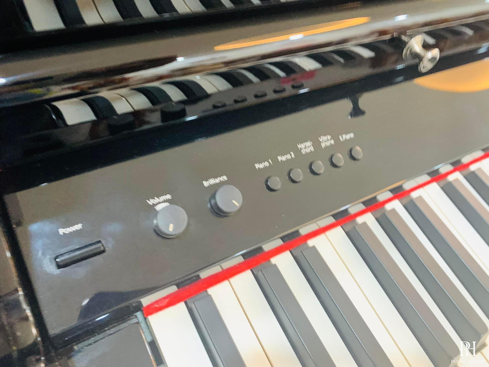 ROLAND RG-7F PE