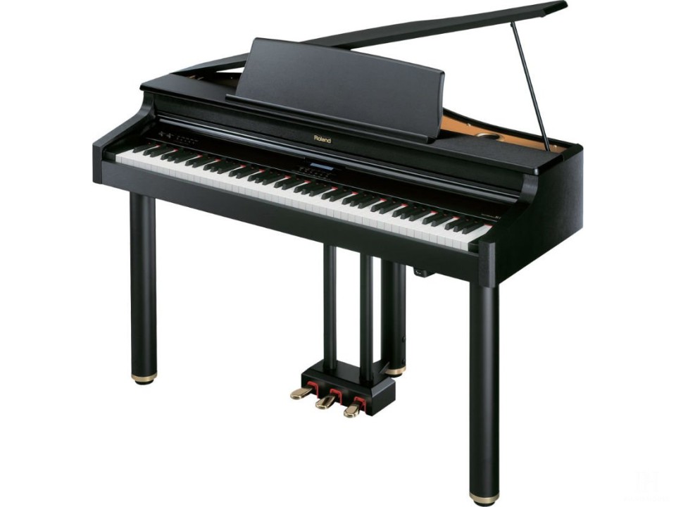 Roland RG-1F PE