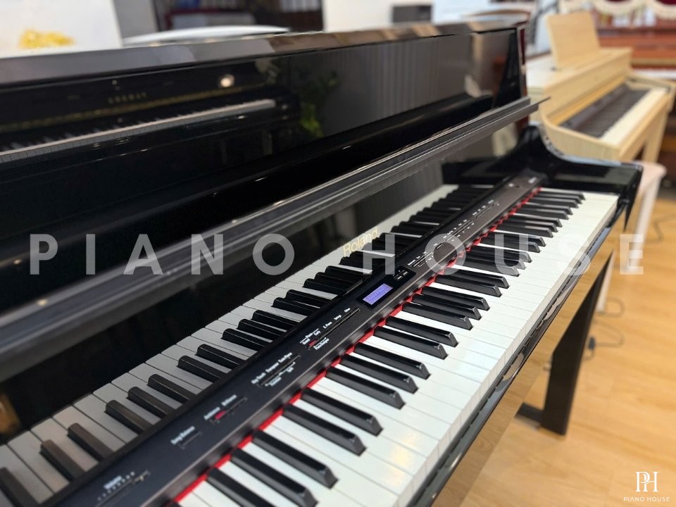 ROLAND LX-15 PE