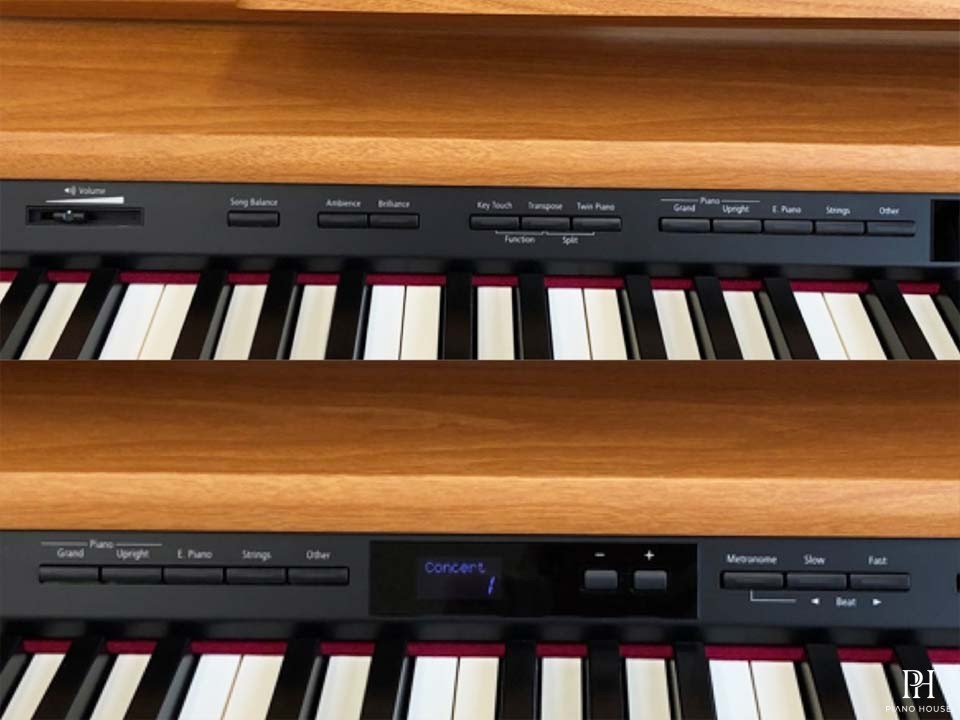 ROLAND DP-90E LWS