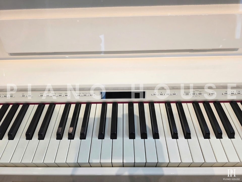 ROLAND DP-603 PW