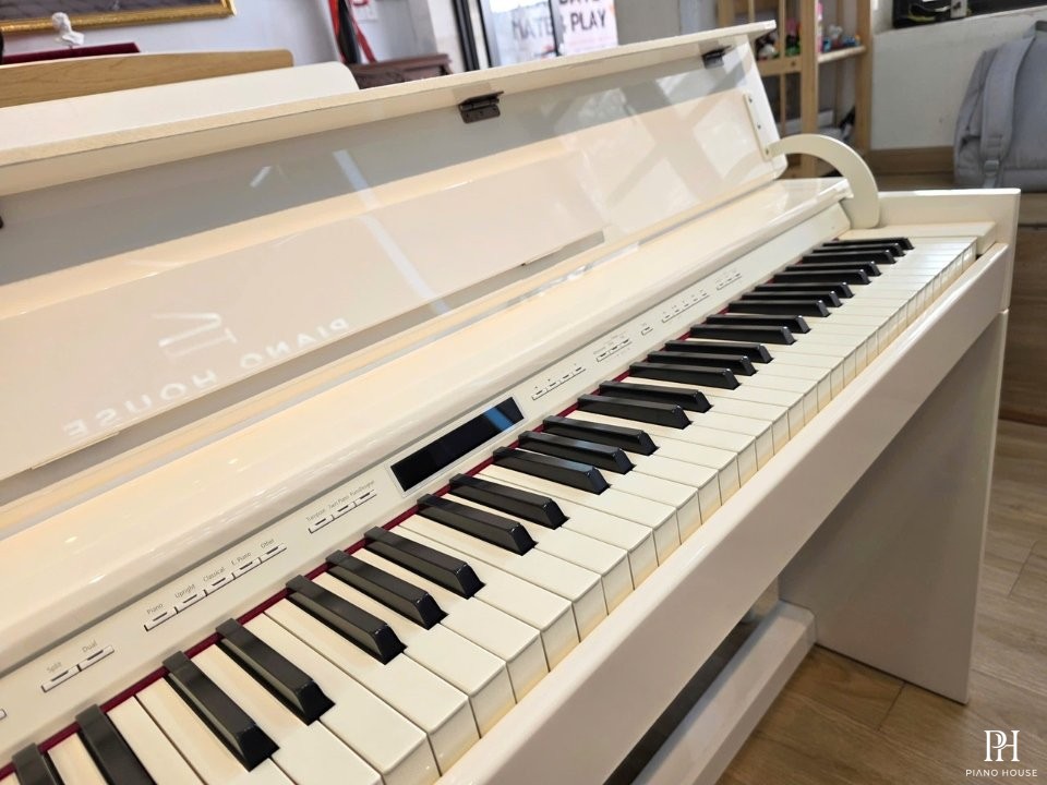 ROLAND DP-603 PW