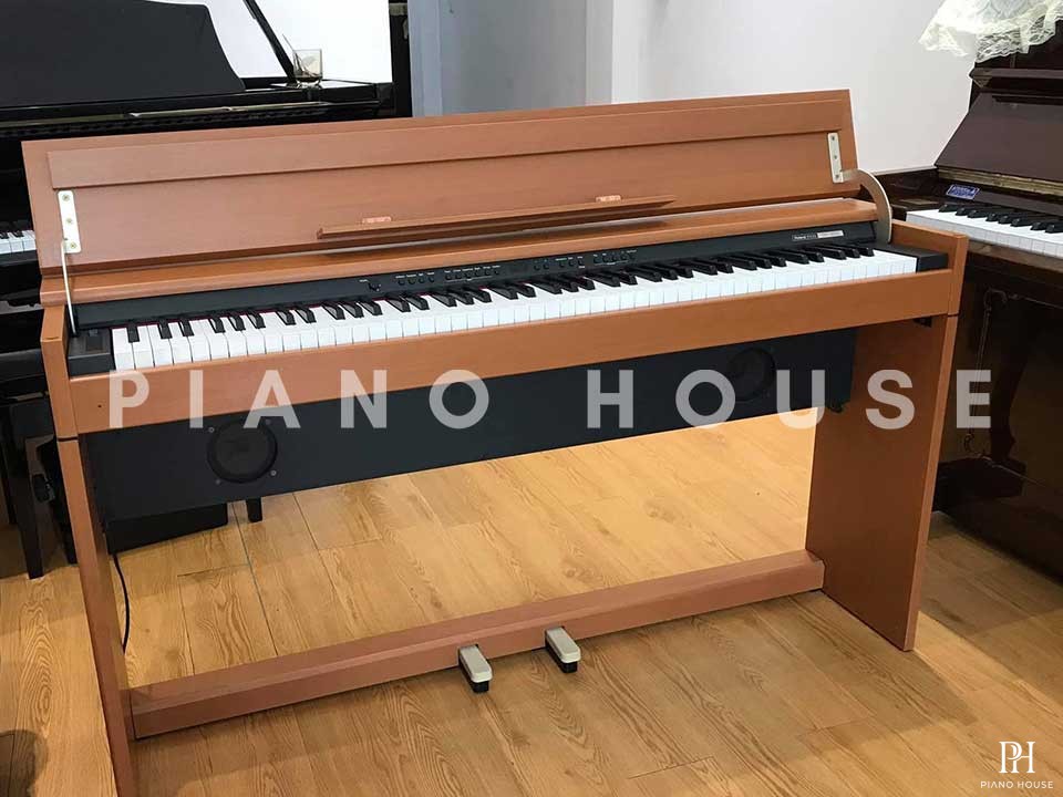 ROLAND DP-900