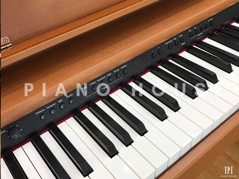 ROLAND DP-900