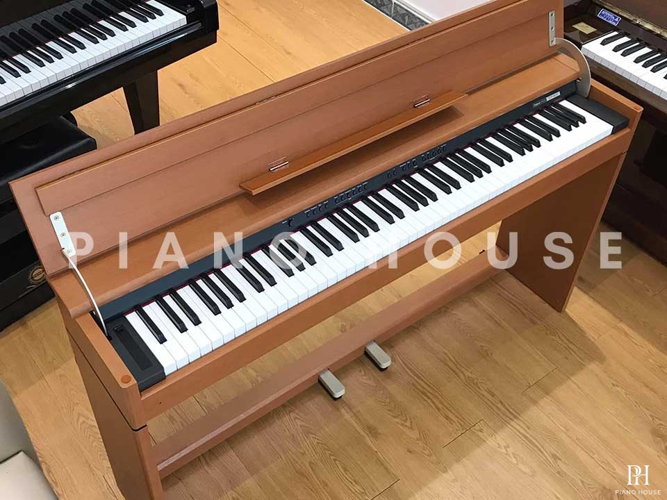 ROLAND DP-900