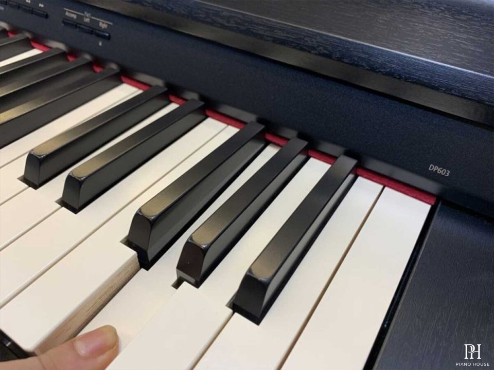 ROLAND DP-603 CBS