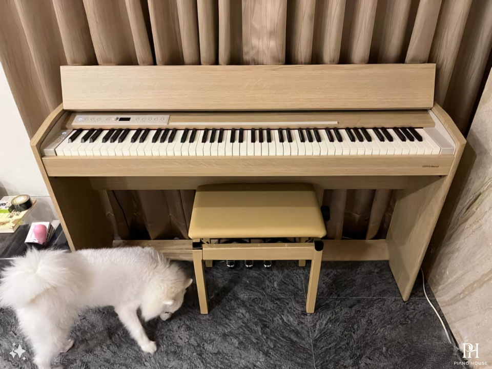 ROLAND F701 LA (USED)