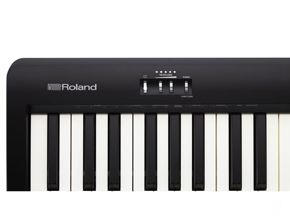ROLAND FP-10
