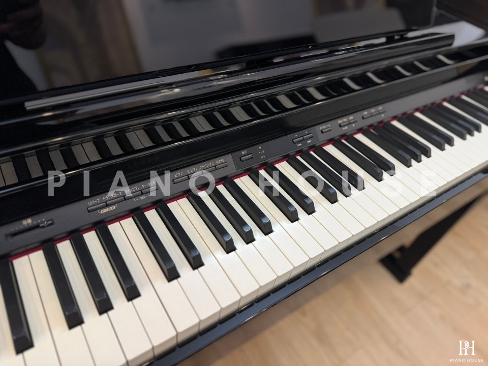 ROLAND HP-305 PE