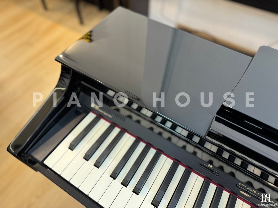 ROLAND HP-305 PE