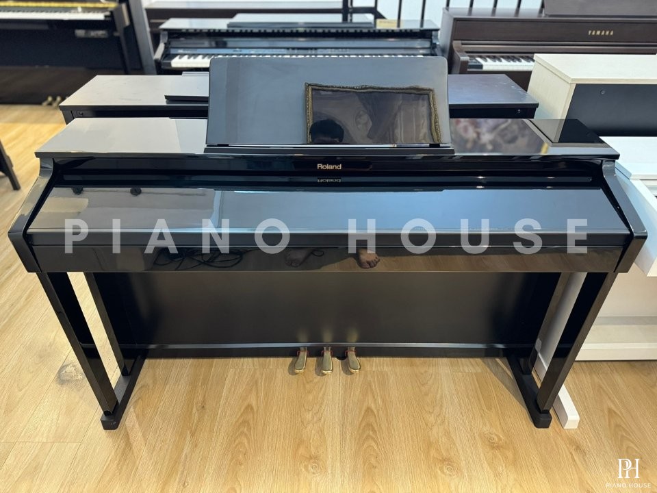 ROLAND HP-503 PE