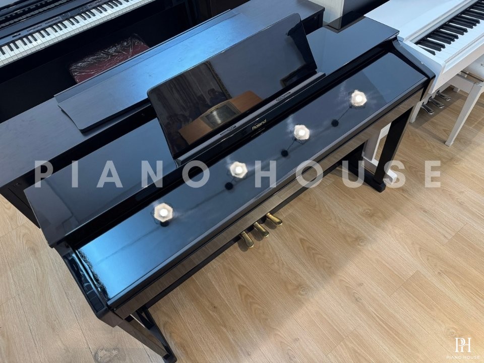 ROLAND HP-503 PE