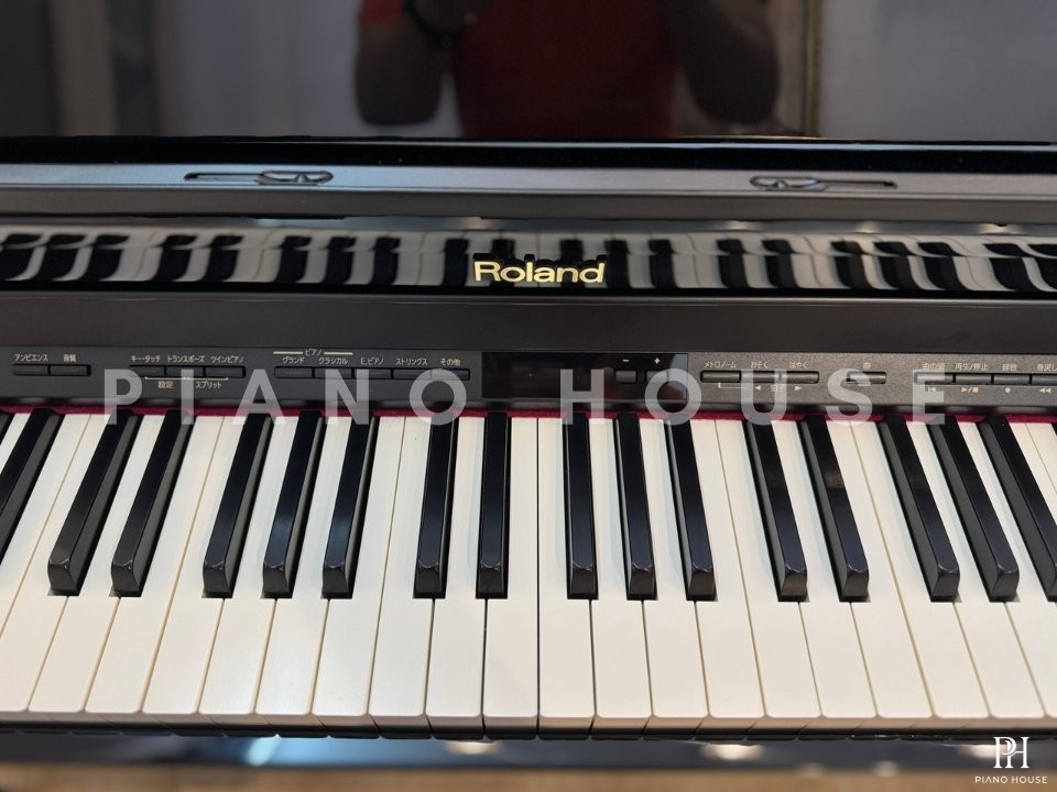 ROLAND HP-503 PE
